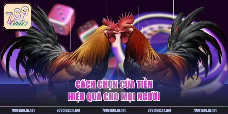 Cách chọn cửa tiền hiệu quả cho mọi người