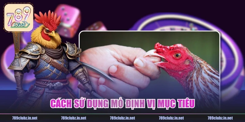 Cách sử dụng mỏ định vị mục tiêu