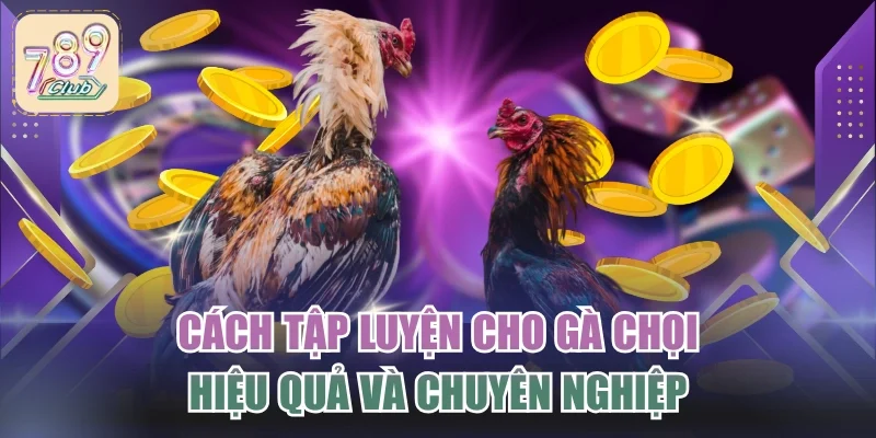 Cách Tập Luyện Cho Gà Chọi Hiệu Quả Và Chuyên Nghiệp