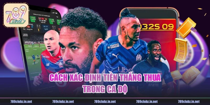 Cách xác định tiền thắng thua trong cá độ