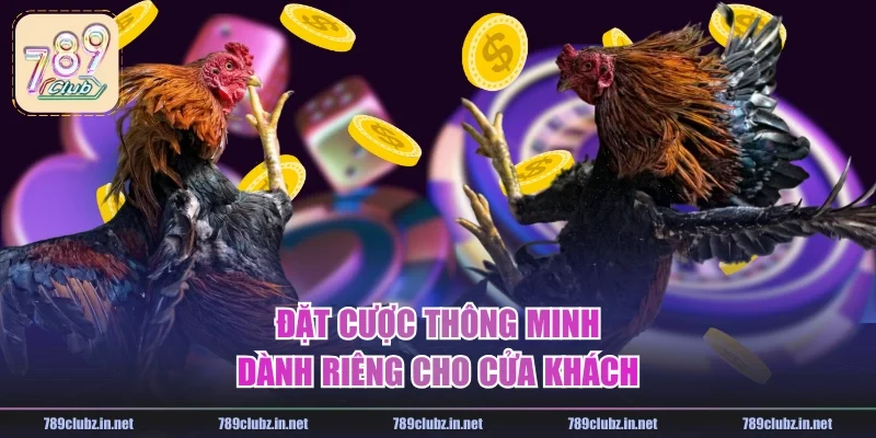 Đặt cược thông minh dành riêng cho cửa khách