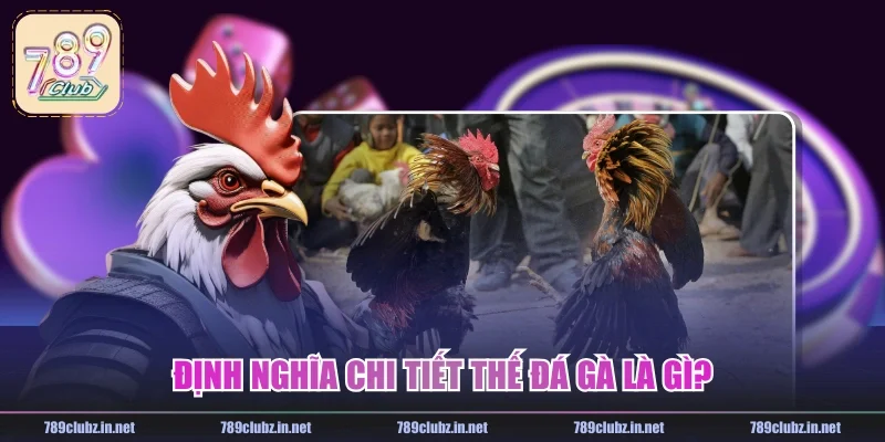 Định nghĩa chi tiết thế đá gà là gì?