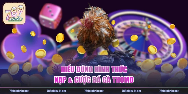 Hiểu đúng hình thức nạp & cược đá gà Thomo
