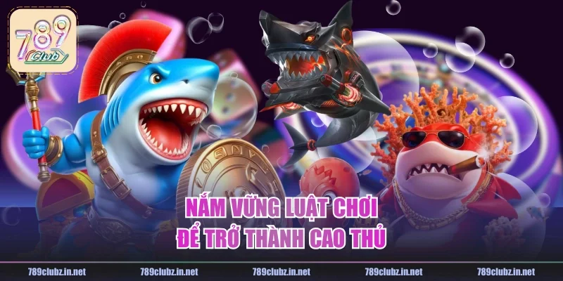 Nắm vững luật chơi để trở thành cao thủ