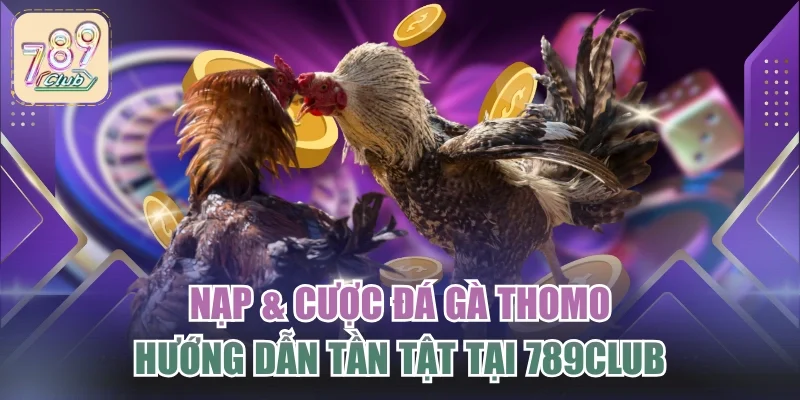 Nạp & Cược Đá Gà Thomo - Hướng Dẫn Tần Tật Tại 789CLUB