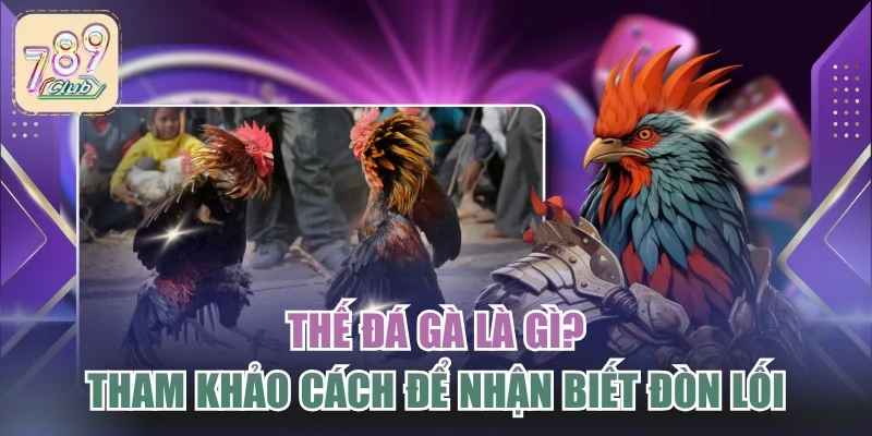 Thế Đá Gà Là Gì? Tham Khảo Cách Để Nhận Biết Đòn Lối