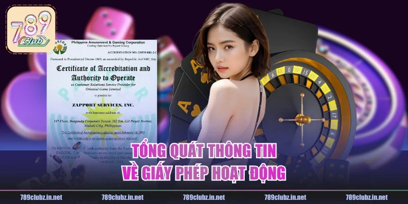 Tổng quát thông tin về giấy phép hoạt động