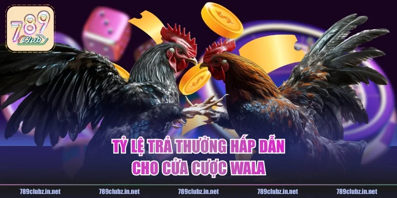 Tỷ lệ trả thưởng hấp dẫn cho cửa cược Wala